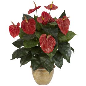 Anthurium w/Ceramic Vase