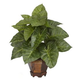 Taro w/Hexagon Vase