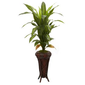 Dracaena w/Stand Silk Plant (Real Touch)