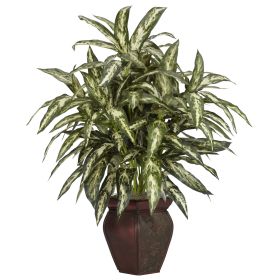 Aglaonema w/Decorative Vase