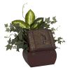 African Violet Dieffenbachia & Ivy w/Chest Silk Plant