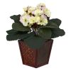 African Violet w/Vase