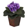 African Violet w/Vase