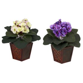 African Violet w/Vase