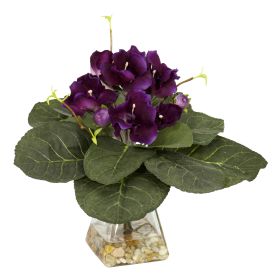 Gloxinia w/Vase