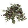 Wandering Jew w/Metal Planter