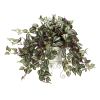 Wandering Jew w/Metal Planter
