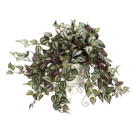 Wandering Jew w/Metal Planter