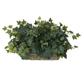 Ivy Ledge Plant (Set on Foam) Silk Plant