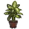 Golden Dieffenbachia w/Wood Vase Silk Plant