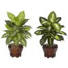 Golden Dieffenbachia w/Wood Vase Silk Plant