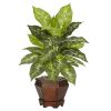 Golden Dieffenbachia w/Wood Vase Silk Plant Variegated