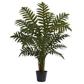 EverGreen Plant