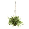 Eucalyptus Maiden Hair & Berry Hanging Basket (Set of 3)