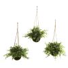 Eucalyptus Maiden Hair & Berry Hanging Basket (Set of 3)
