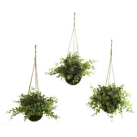 Eucalyptus Maiden Hair & Berry Hanging Basket (Set of 3)