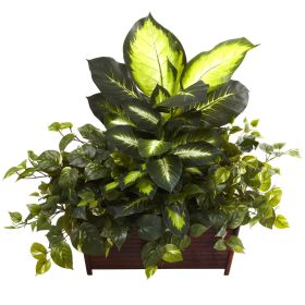 Golden Dieffenbachia Philo & Pothos w/Wood Planter