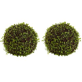 Mohlenbechia Ball (Set of 2)