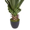Spiked Agave Plant w/361 Lvs