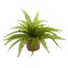Boston Fern w/Burlap Planter (Set of 2)