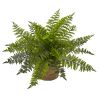 Ruffle Fern Bush w/Burlap Base (Set of 2)