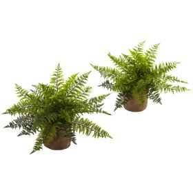 Ruffle Fern Bush w/Burlap Base (Set of 2)