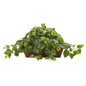 Pothos w/Ledge Basket