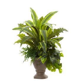Mixed Yucca Marginatum Pothos & Bracken w/Planter