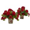 Geranium Flowering Plant with Floral Planter (set of 2)