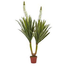 Yucca Plant w/78 Lvs & 2 Flwrs