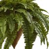 Giant Boston Fern with Cone Hanging Basket