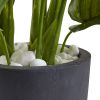 Real Touch Philodendron with Gray Planter