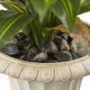 Dracaena Plant with Urn (Real Touch)