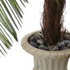 Cycas Plant in Urn UV Resistant (Indoor/Outdoor)