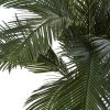 Cycas Plant in Urn UV Resistant (Indoor/Outdoor)
