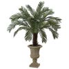 Cycas Plant in Urn UV Resistant (Indoor/Outdoor)
