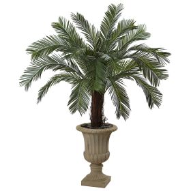 Cycas Plant in Urn UV Resistant (Indoor/Outdoor)