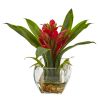 Bromeliad with Vase Arrangement (Set of 2)