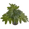 Philodendron Arrangement with Vase