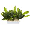 Cactus with Rectangular Planter