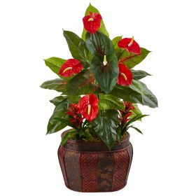 Mixed Anthurium and Bromeliad in Planter