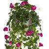 Petunia Hanging Basket