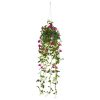 Petunia Hanging Basket