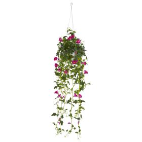 Petunia Hanging Basket
