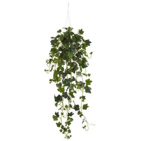 English Ivy Bush Hanging Basket