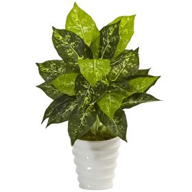 Dieffenbachia in Swirl Ceramic