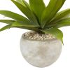 Agave in Sand Colo Red Bowl