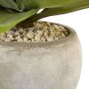 Agave in Sand Colo Red Bowl