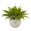 Agave in Sand Colo Red Bowl
