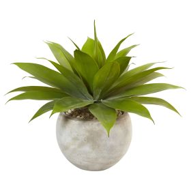 Agave in Sand Colo Red Bowl